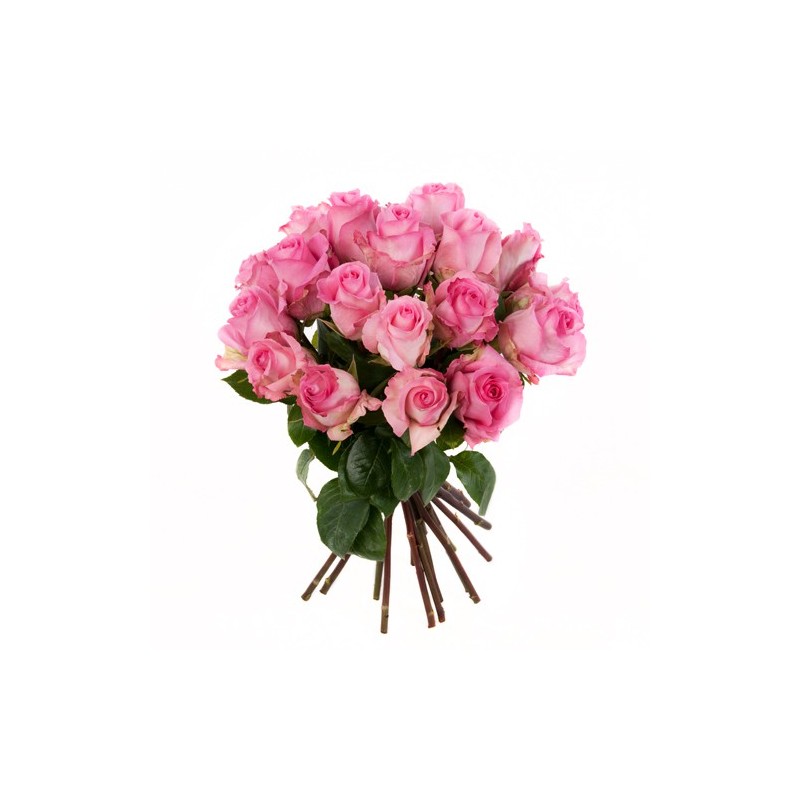 Ein Rosenbund in rosa