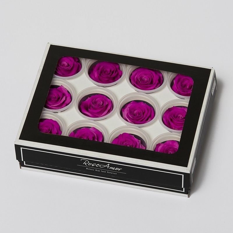 6 Rosen stabilisiert