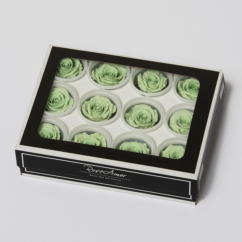 6 Rosen stabilisiert