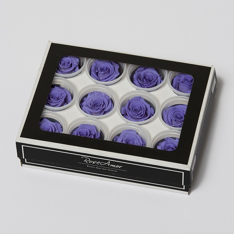 6 Rosen stabilisiert