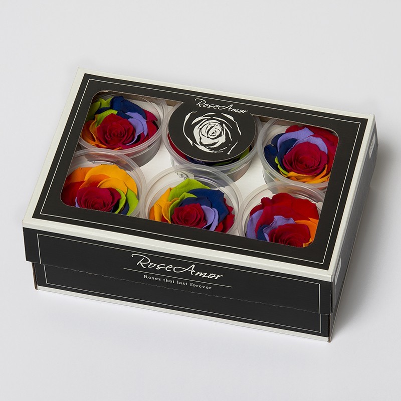 6 Rosen stabilisiert