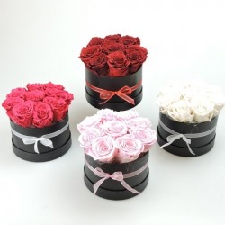 Rosenbox rot