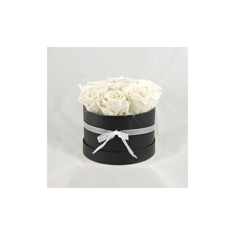 Rosenbox weiss