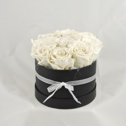 Rosenbox weiss