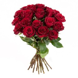 copy of Rosen rot ohne Bindegrün