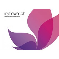 Karte myflower