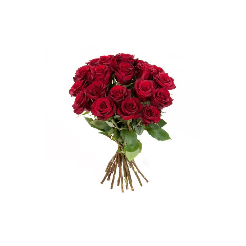 Ein Rosenbund in rot